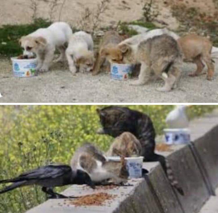 Mutlak Bir Yol Bulunur