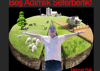 Beş Adımlık Seferberlik!