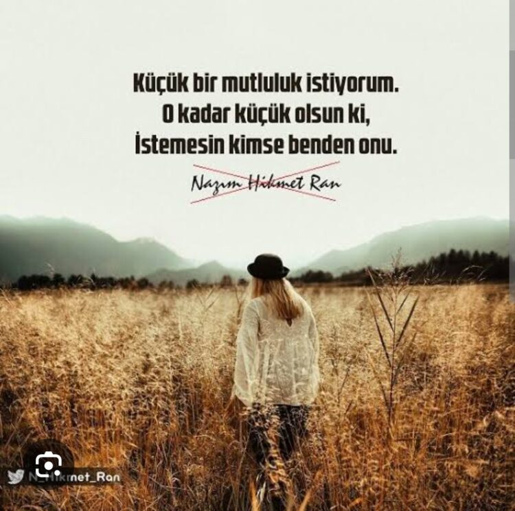 Küçük Mutluluklar