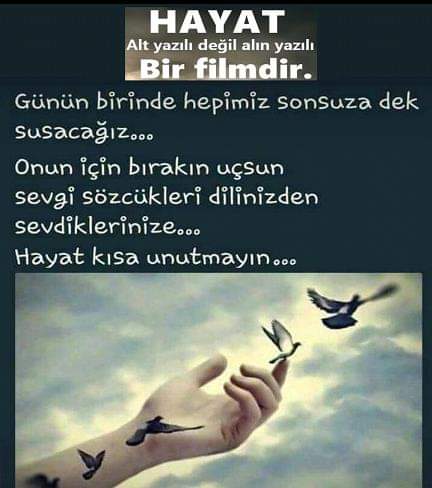 Hayata Mektup!..