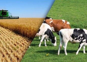 Türkiye’de Tarım ve Hayvancılık