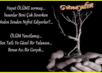 Yaşamak Güzel Şey