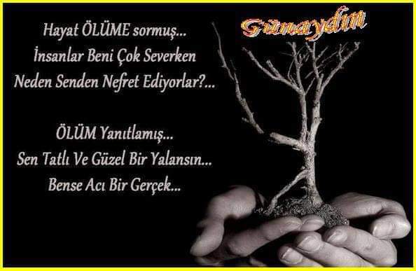 Yaşamak Güzel Şey