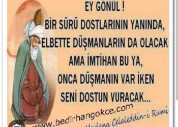 Ne Çok Düşmanın Var Senin…