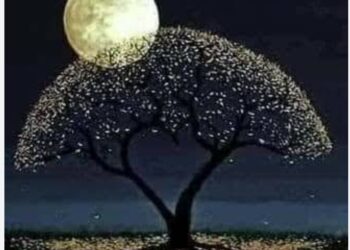 Sende Geçersin Dünyadan