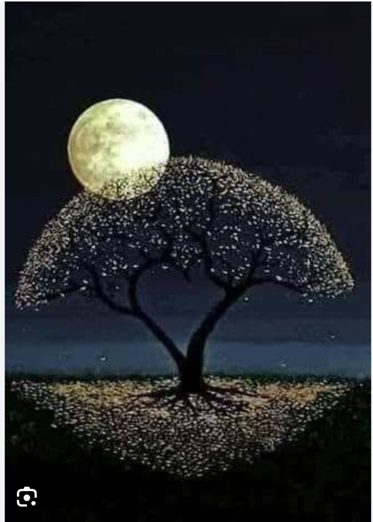 Sende Geçersin Dünyadan