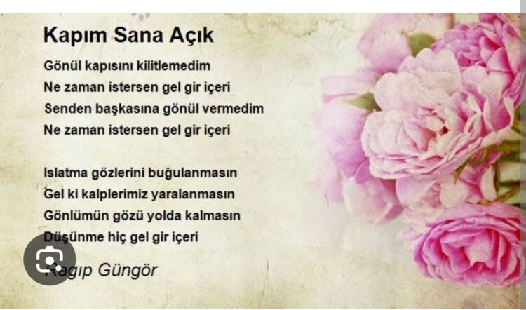 Kapımı Çalmadan Gir İçeri