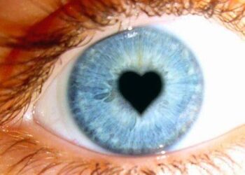 Sevmek Böyle Bir Şey