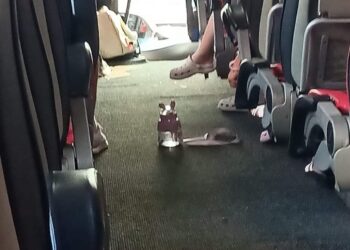 Yolculuk Fısıltıları (II)