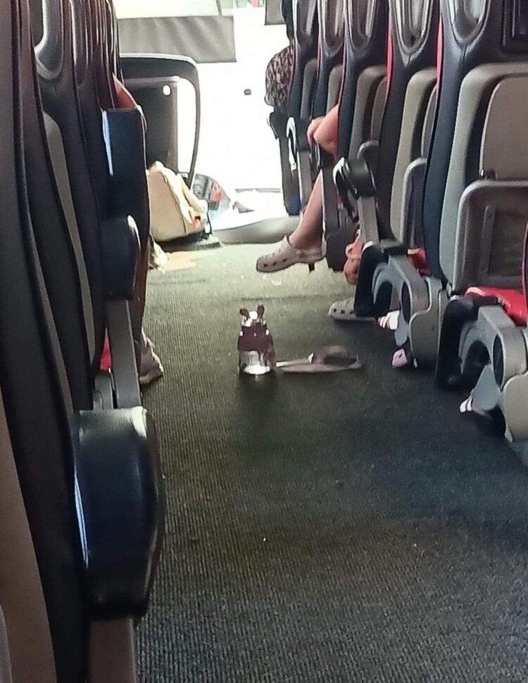 Yolculuk Fısıltıları (II)