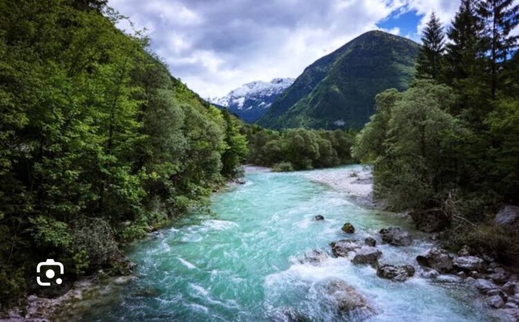 Adını Durusu Koydular