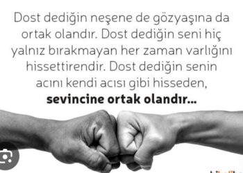 Düşüncelerini Paylaşan Dostlar