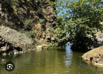 Vadinin Yeni Sesleri