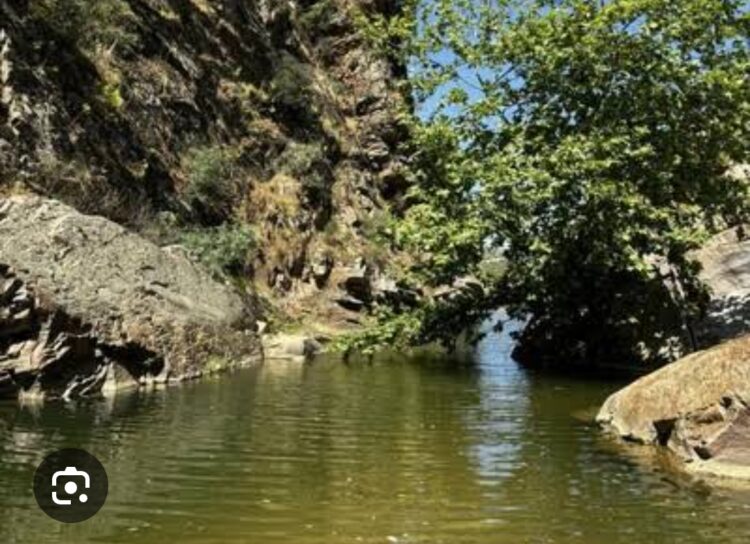 Vadinin Yeni Sesleri