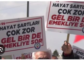 Emekliyi Tanımlamak