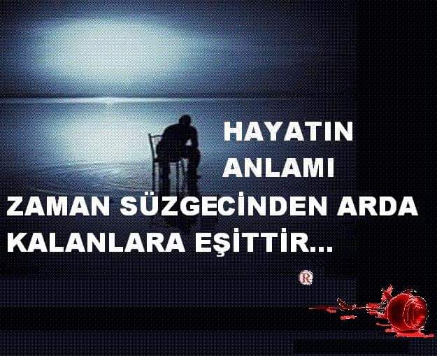 Hayatın Anlamı
