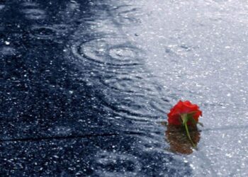 Anlatacaklarım Var Bugün