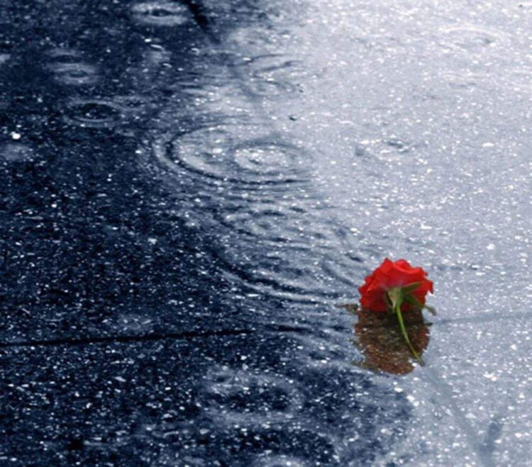 Anlatacaklarım Var Bugün