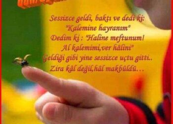 Güzel Yüz Aynaya Aşıktır