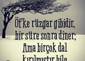 Bir Anlık Öfke Ömür Boyu Pişmanlığa Dönüşebilir