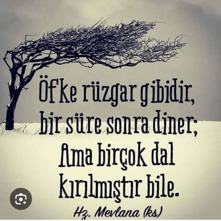 Bir Anlık Öfke Ömür Boyu Pişmanlığa Dönüşebilir