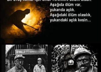 Onlar Güneşi Görmediler