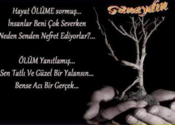 Yaşamak Güzel Şey