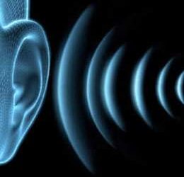 Gecenin Çınlaması