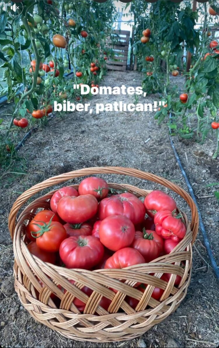 Güzel Yürekli İnsanların Pazarı ve Pembe Domatesin Ücreti…