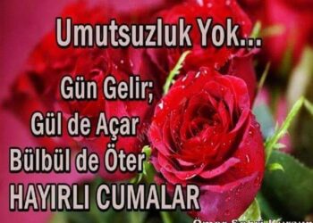 Yeni Bir Gün Yeni Bir Hayat