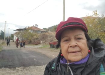 Eğrikavak Köyü (Efeler, Aydın İli) Gezisinden Kareler