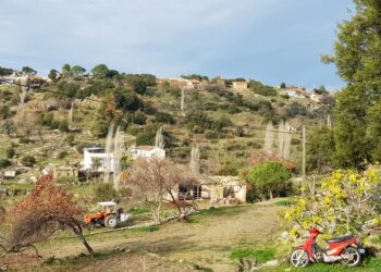 Kuşadası-Ekodost’un Alabayır Köyü/Çine/Aydın Doğa Gezisinden Kareler