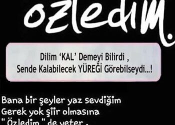 Özlemek