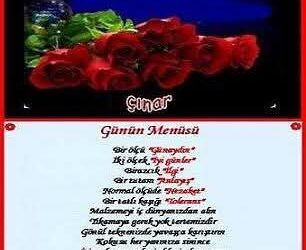 Ne Yaratık Ama Şu İnsan!