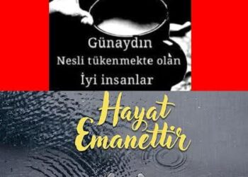 Hayatın Anlamı
