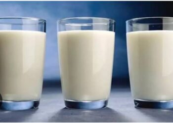 Günde 3 Bardak Süt Kemik Kırığı ve Ölüm Riskini Artırıyor