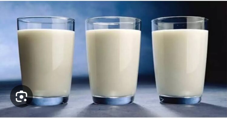 Günde 3 Bardak Süt Kemik Kırığı ve Ölüm Riskini Artırıyor