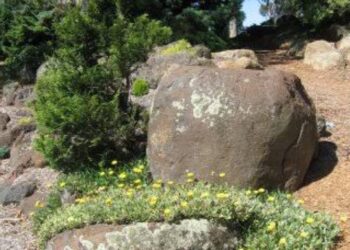 Bahçedeki Büyük Kaya