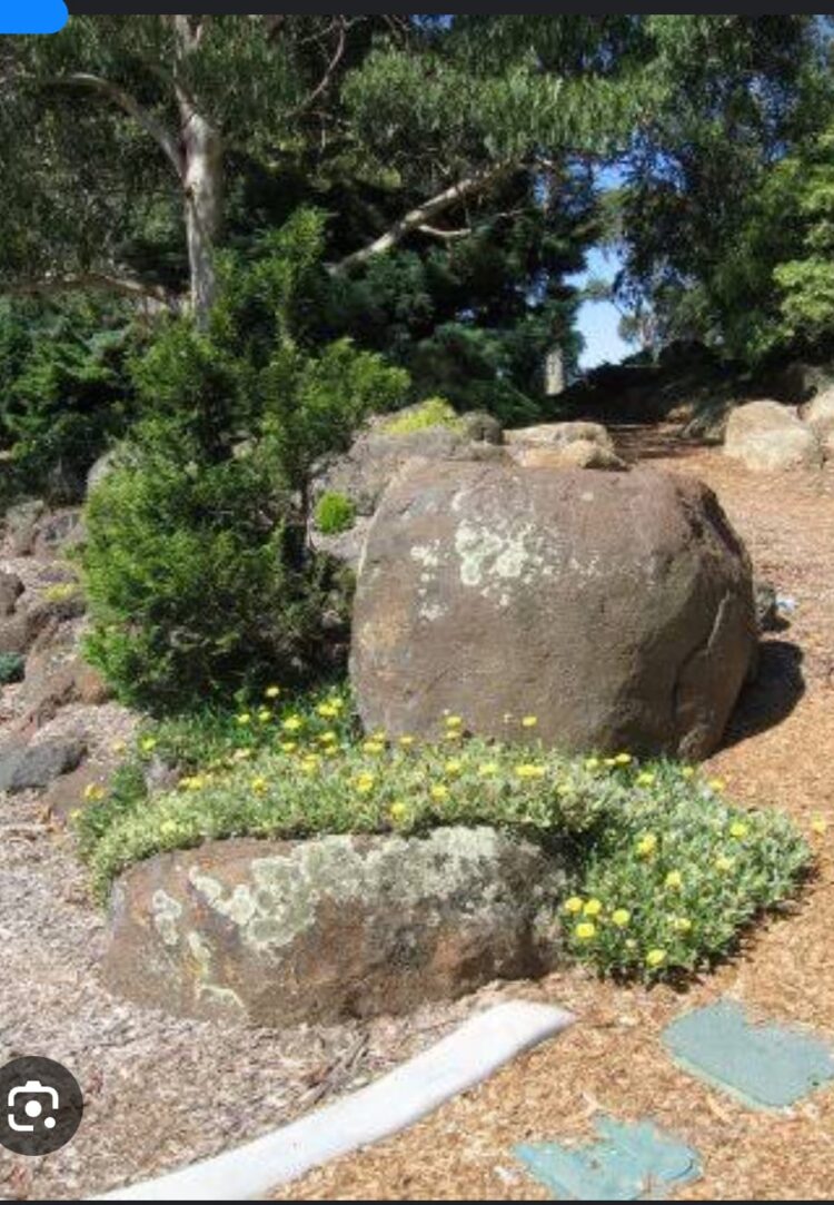 Bahçedeki Büyük Kaya