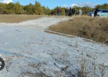 Ormana Dökülen Krem