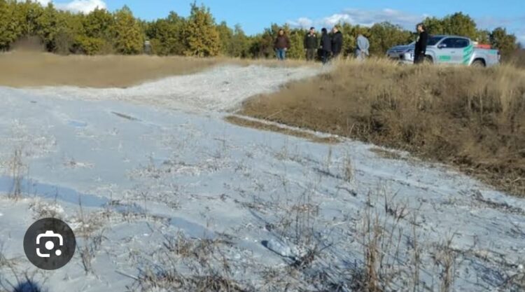 Ormana Dökülen Krem