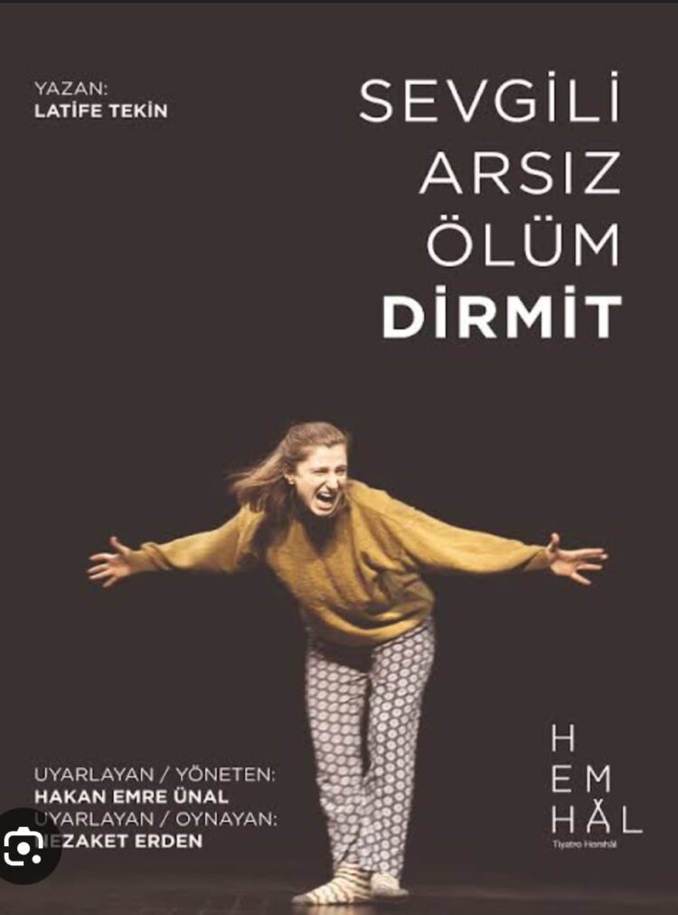 Seni Tanıyorum Dirmit