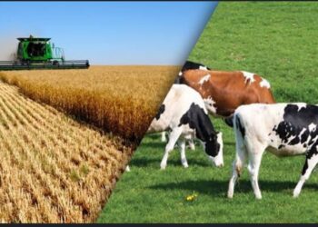 Tarım ve Hayvancılığın Önemi