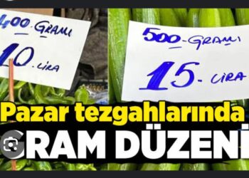 Terazide Gram Devri