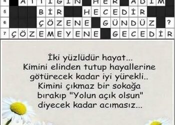 Merhaba İkiyüzlü Hayat, Merhaba…