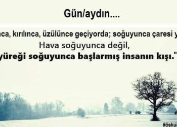 Yalnızlığımla Birlikte Yazıyorum