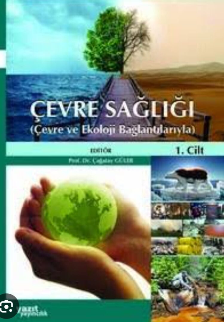 Sağlıklı Çevre ve İnsan Sağlığı