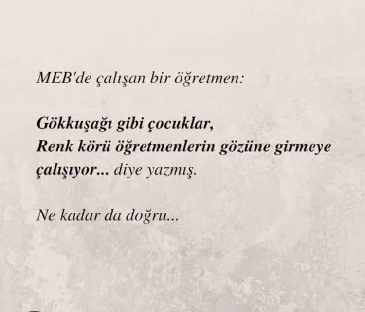 Gökkuşağı Gibi Öğrenciler Renk Körü Öğretmenlere Emanet Edilmesin