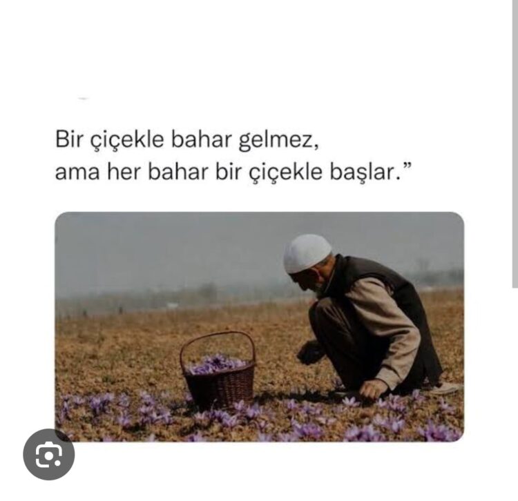 Bir Çiçekle Bahar Gelmez…