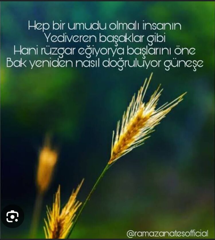 Bir Umuttu Başaklar